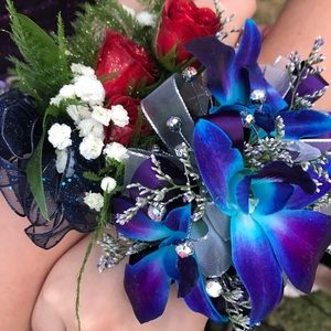 Meet your Posher, Kynzie